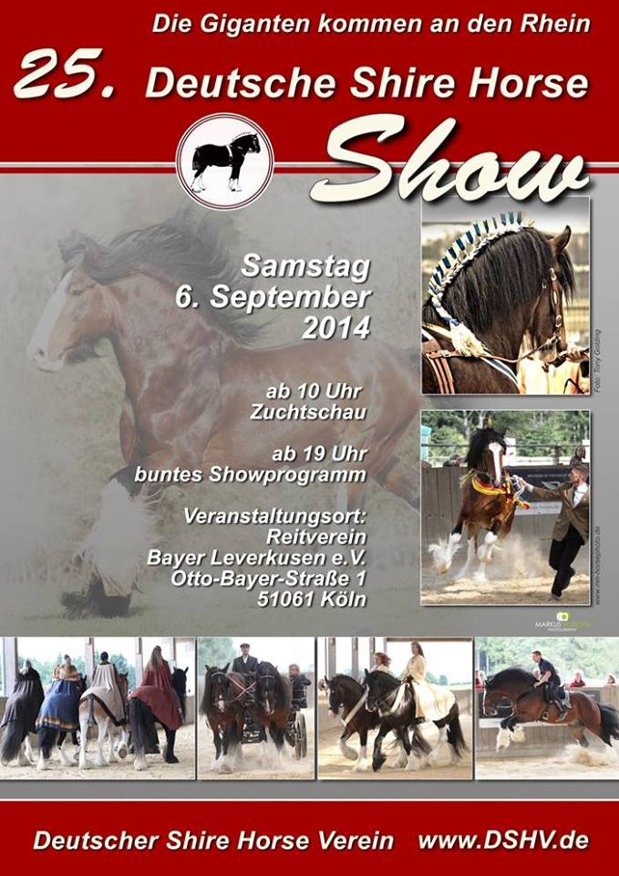 25 Deutsche Shirehorse Show